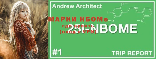 молекула духа Зеленокумск