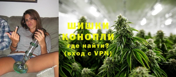 молекула духа Зеленокумск