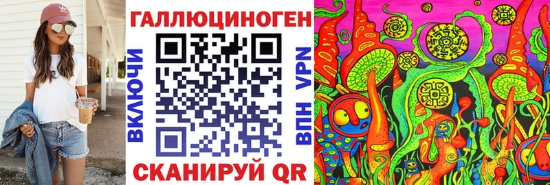 Псилоцибиновые грибы Cubensis Купить Северская